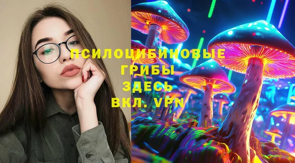 тгк Вяземский