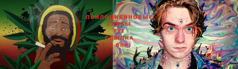 Галлюциногенные грибы MAGIC MUSHROOMS  Краснознаменск 