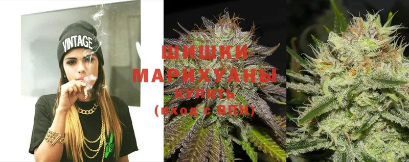 где найти   Краснознаменск  Шишки марихуана OG Kush 